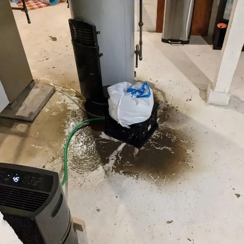 Sewage Backup Cleanup Service in Seymour, MO